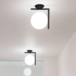 IC Lights C/W2