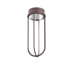 In Vitro Ceiling