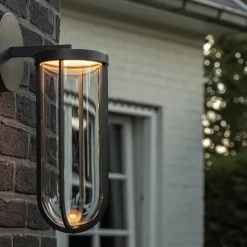In Vitro Wall