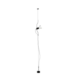 Parentesi dimmer