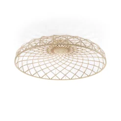 Skynest C