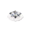 Taraxacum 88 Ceiling & Wall