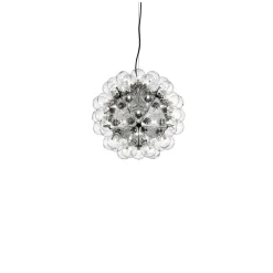 Taraxacum 88 Suspension 1