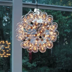 Taraxacum 88 Suspension 1